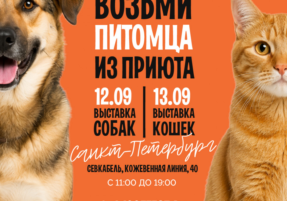 12 и 13 сентября мы едем на WOOF FEST в Санкт-Петербурге!