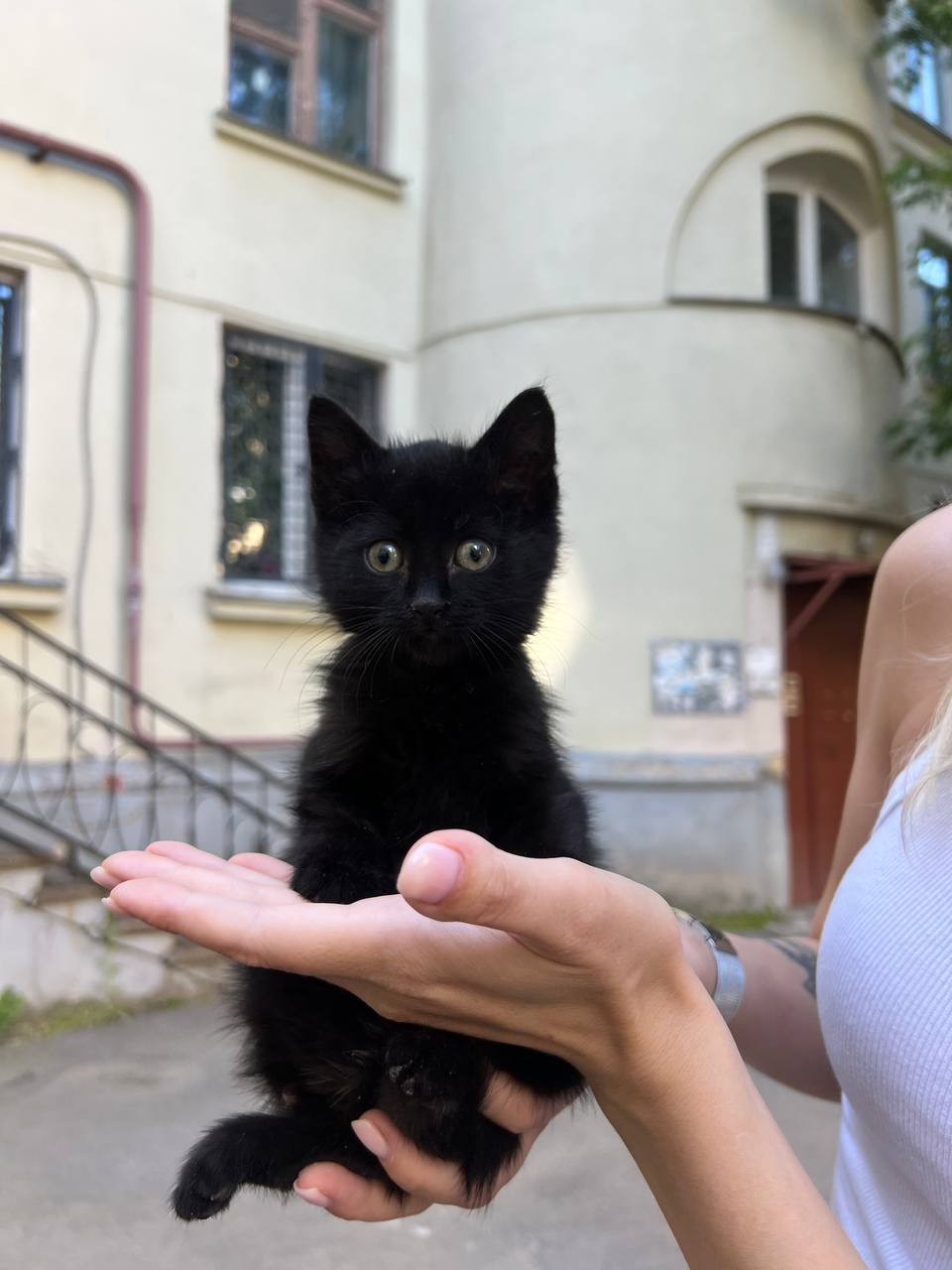 Уголёк (Кулёк)